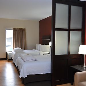 Premium Room Two Double Beds Smoke Upgraded Bedding Snack Box